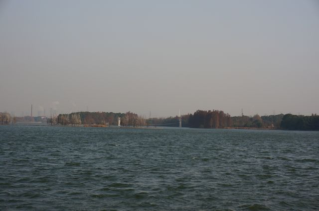 dsc00085.jpg
