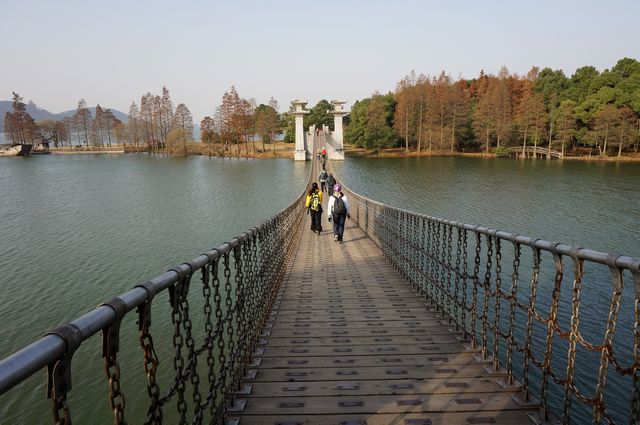 dsc00101.jpg