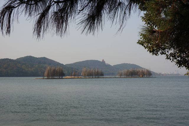 dsc00129.jpg