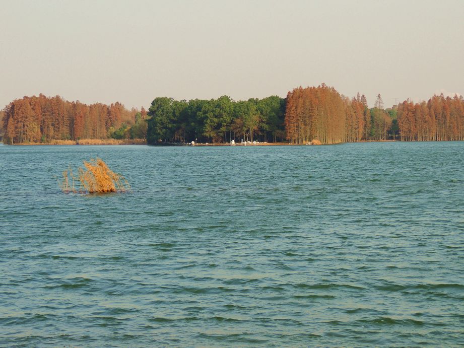 dscn1344.jpg