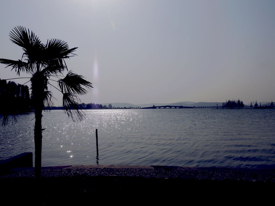 dscn1381.jpg
