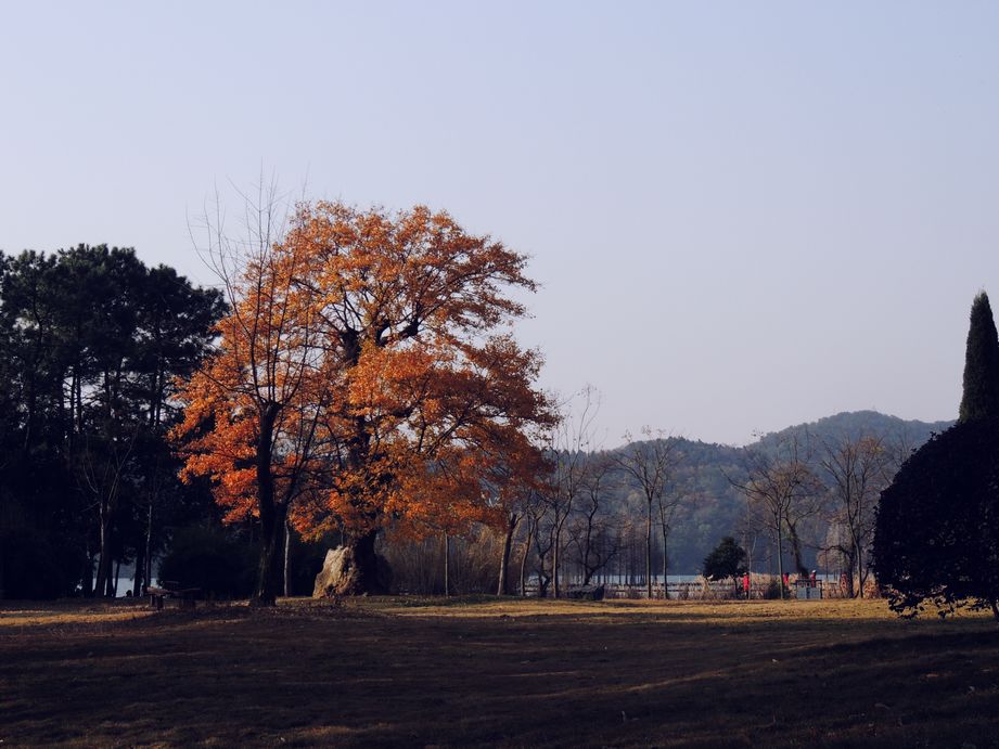 dscn1355.jpg