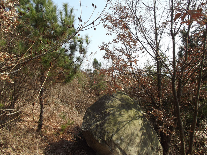 dscf0038_.jpg