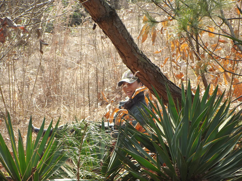 dscf0009_.jpg