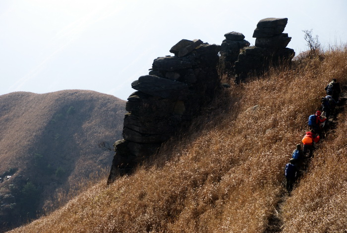 dsc_0358.jpg