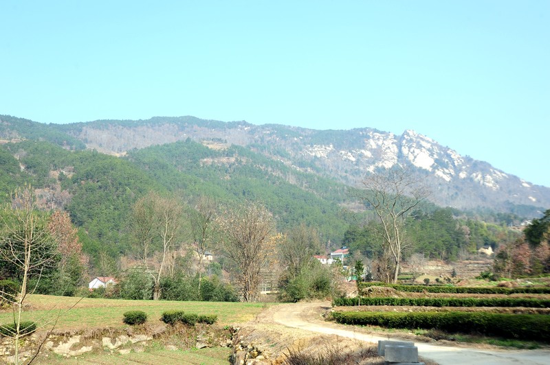 apx_7027.jpg