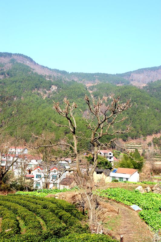 apx_7028.jpg