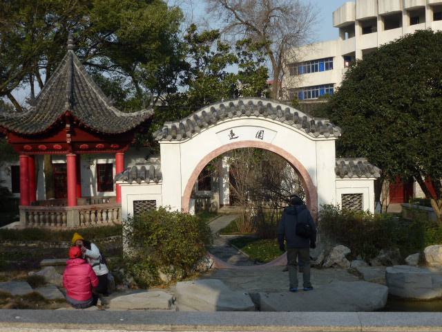 p1130702.jpg