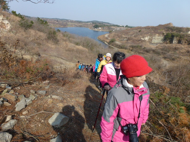 p1130791.jpg