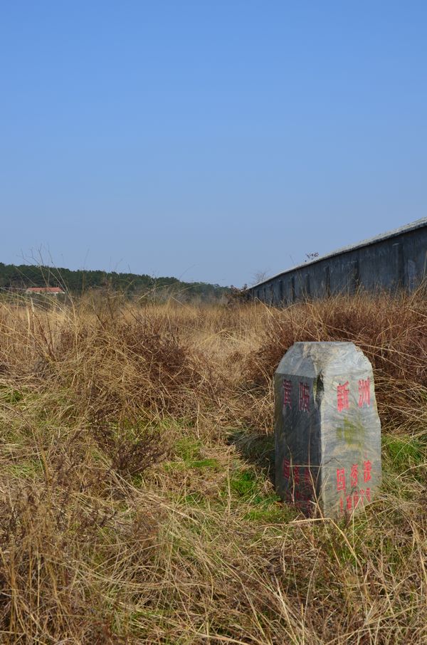 dsc_0849a.jpg