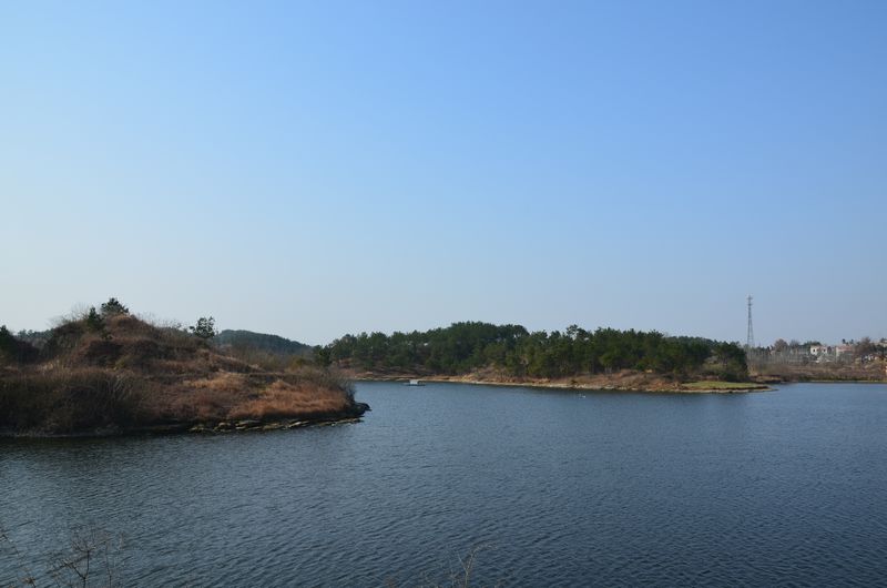 dsc_0882a.jpg