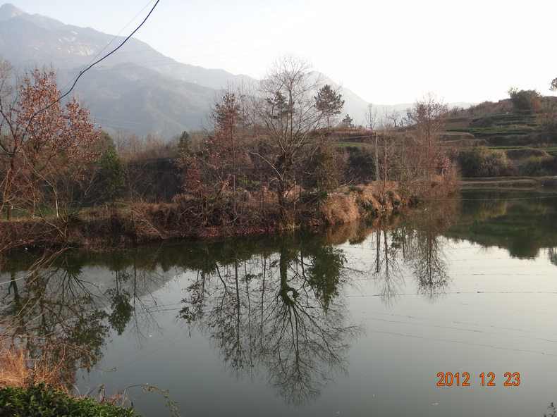 dsc01890.jpg
