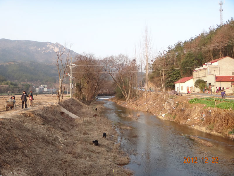 dsc01894.jpg