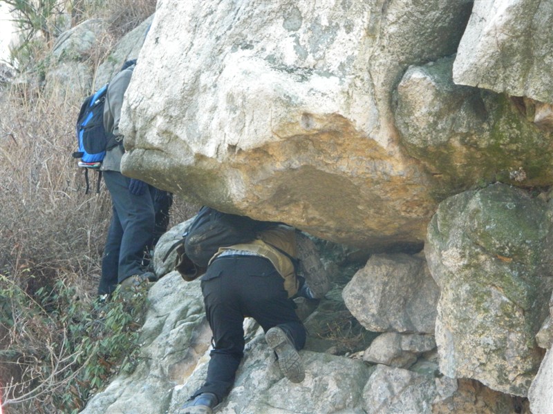 psb26.jpg