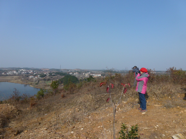 p1130800.jpg