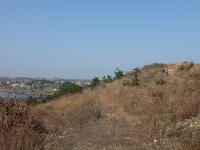p1130802.jpg