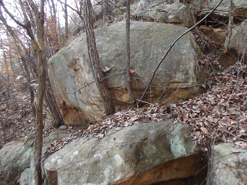 dscf0104_.jpg