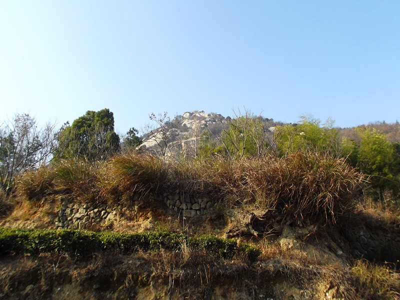 dscf0111_.jpg