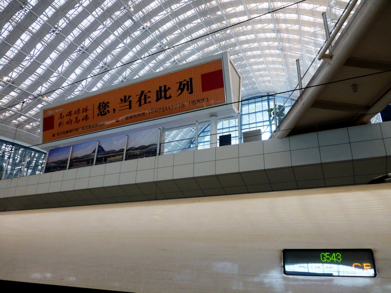 p1000248.jpg