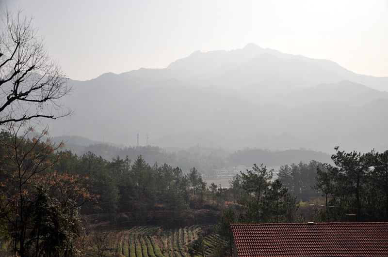 dsc_0020_.jpg