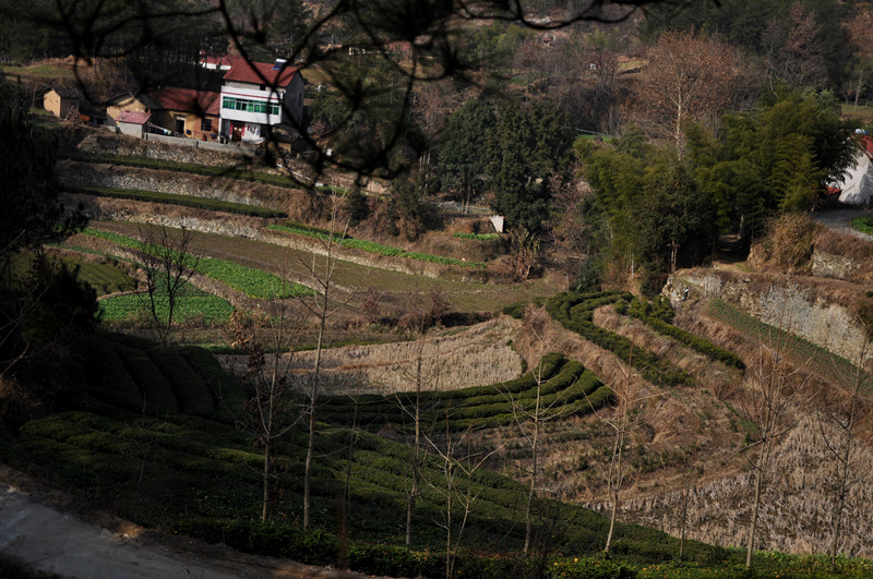 dsc_0032_.jpg