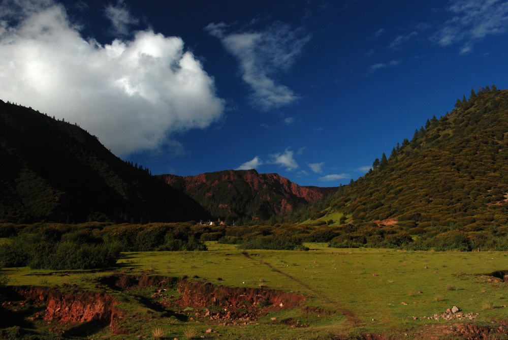 dsc_0159.jpg