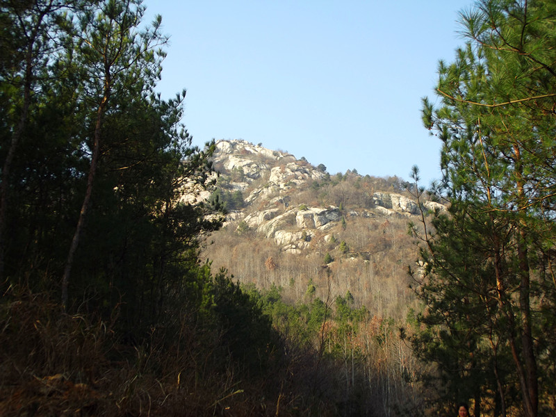 dscf0122_.jpg