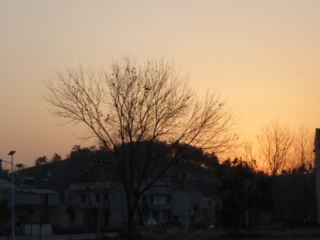 p1130847.jpg