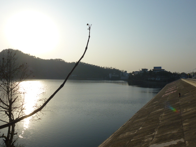 p1130830.jpg
