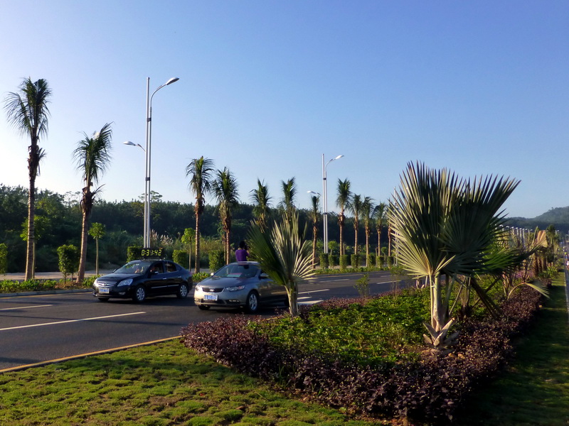 p1000385.jpg