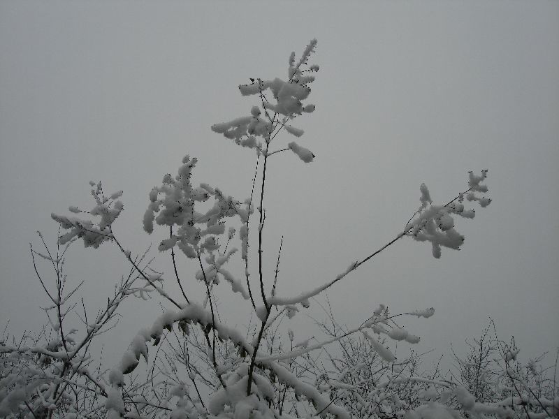 neo_img_ѩ 045.jpg