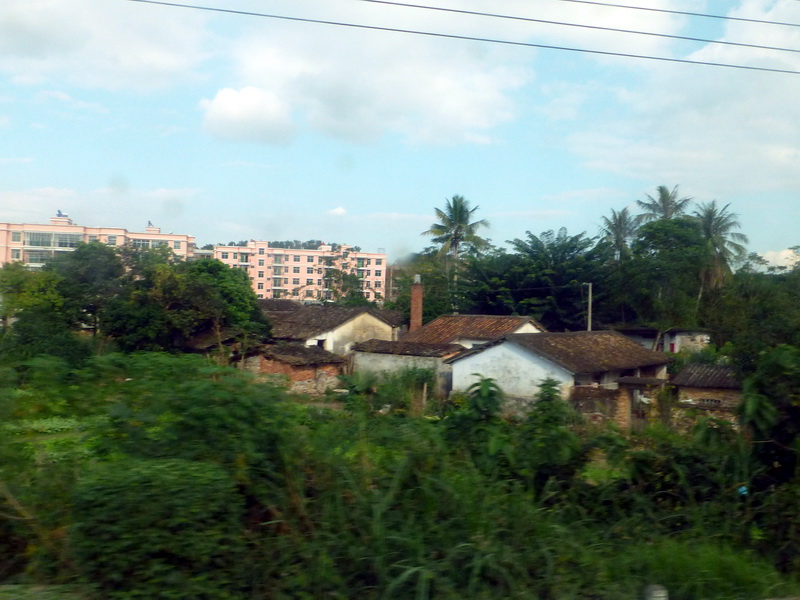 p1000431.jpg