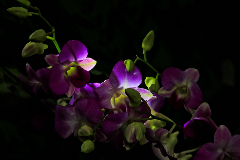 img_4270_СС.jpg