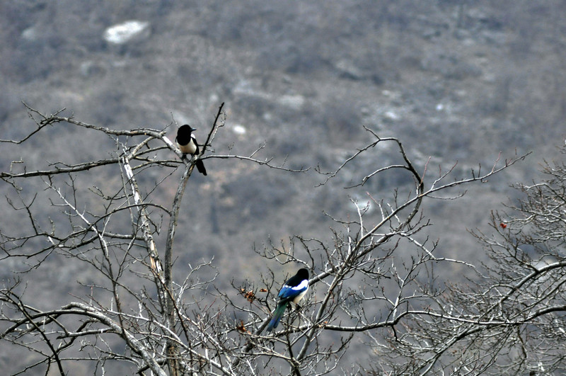 dsc_0564.jpg