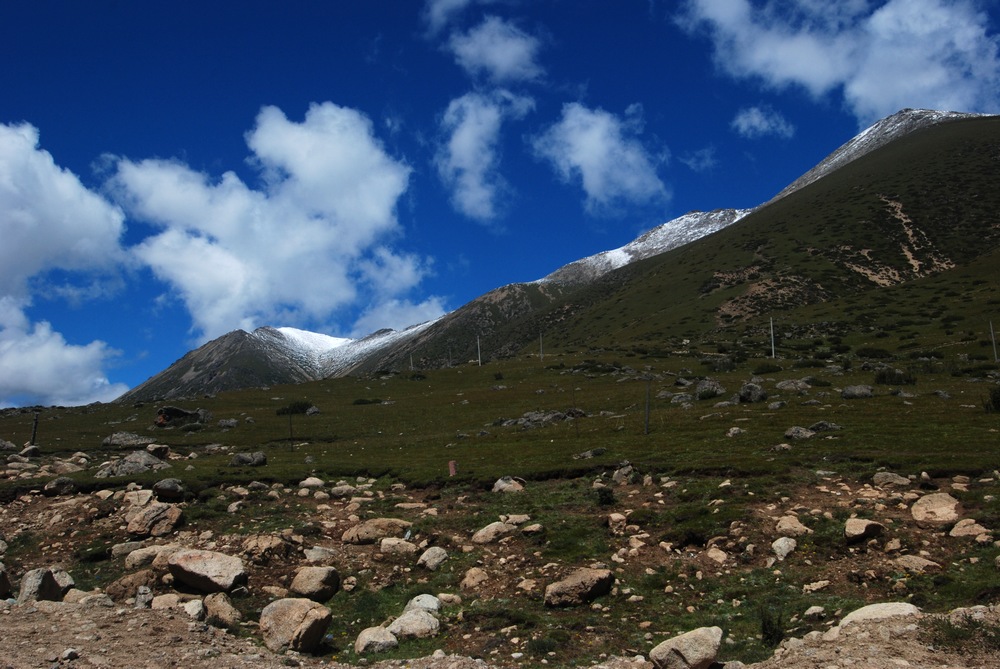dsc_0433.jpg