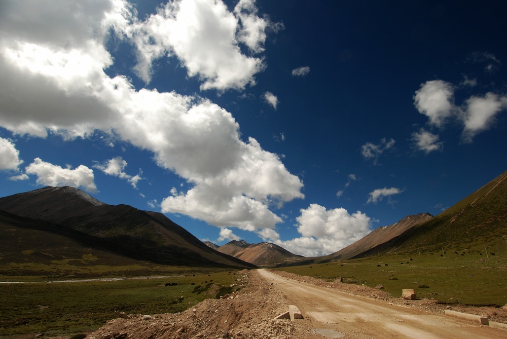 dsc_0441.jpg