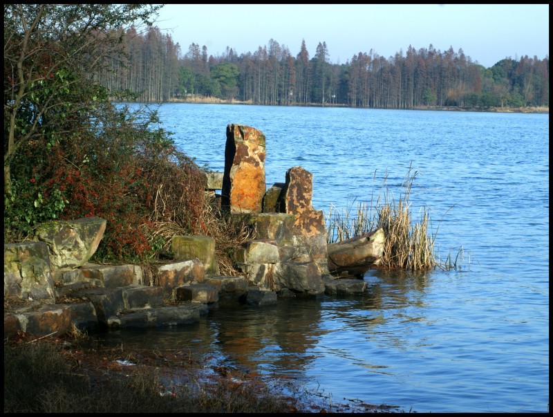 conew_dsc07722_conew1.jpg