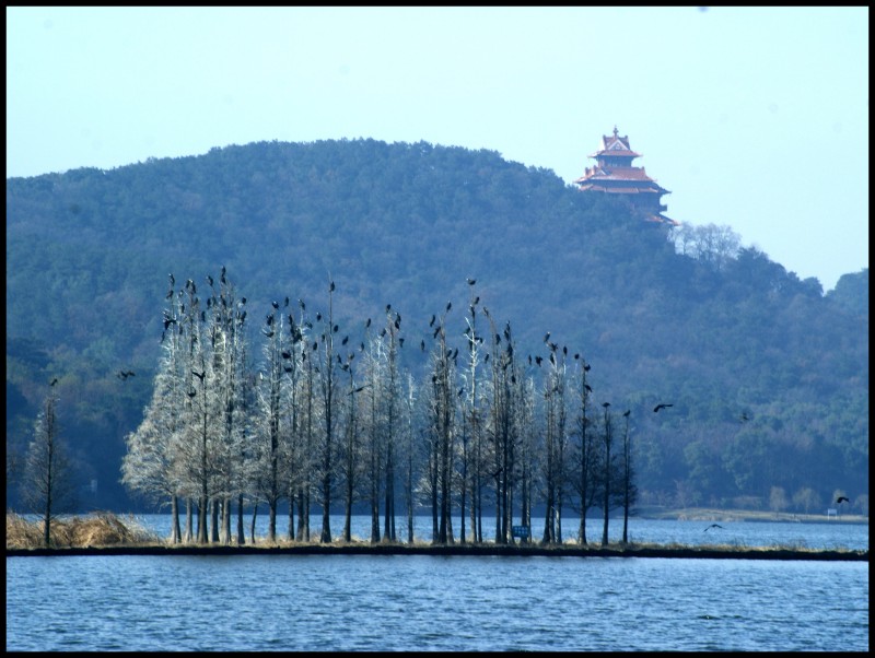 conew_dsc07726_conew1.jpg