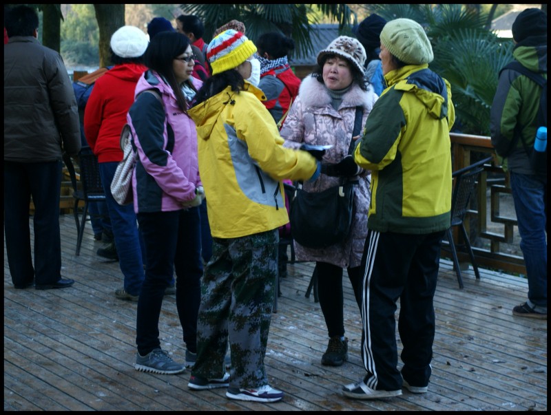 conew_dsc07645_conew1.jpg