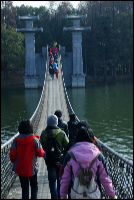 conew_dsc07751_conew1.jpg