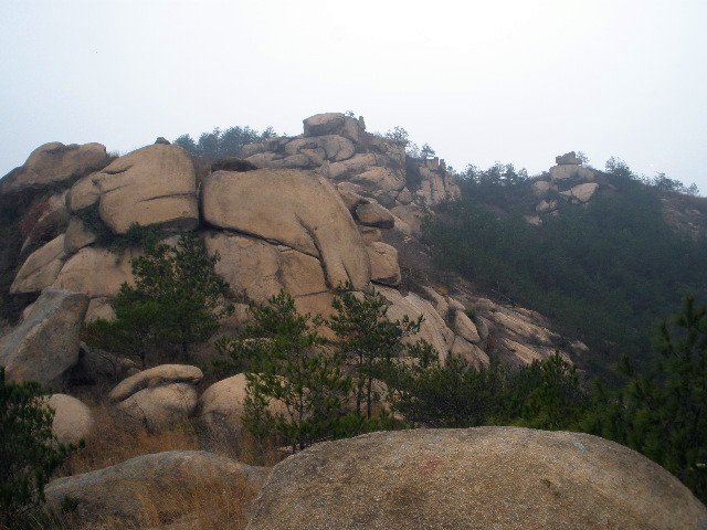 pc020137_.jpg