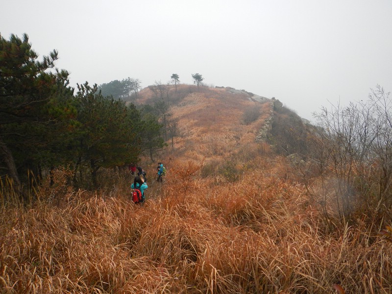 dscn0713.jpg