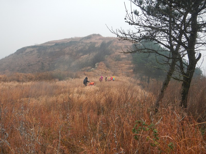 dscn0707.jpg