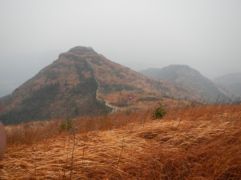 dscn0719.jpg