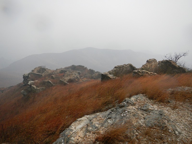dscn0733.jpg