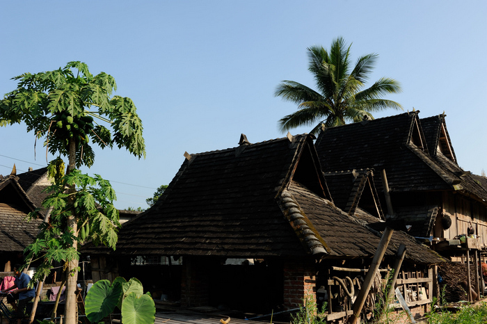 dsc_1294-0-1.jpg