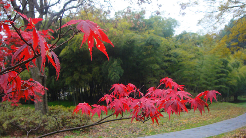 dsc00152_.jpg