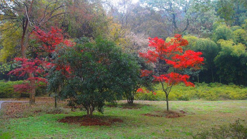 dsc00154_.jpg