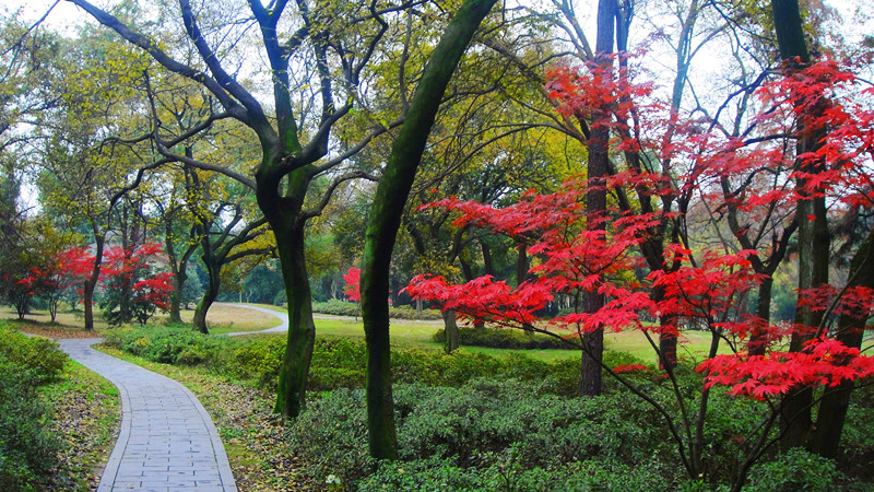 dsc00156_.jpg