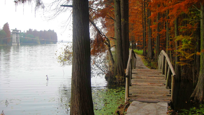 dsc00160_.jpg